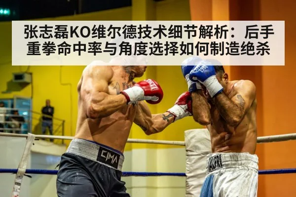 heavyweight boxing match